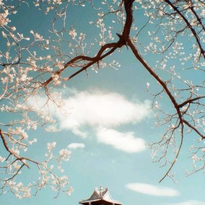 双赢彩票下载手机版